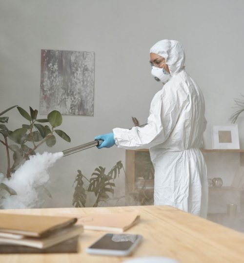 A person in protective gear fumigating a room with indoor plants and furniture, ensuring cleanliness.